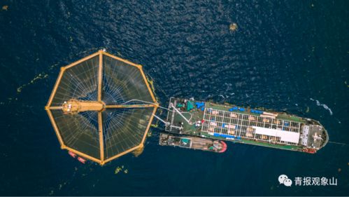 青島龍頭引領(lǐng)再升級(jí) 山東重磅規(guī)劃賦能，景區(qū)管理迎發(fā)展新機(jī)